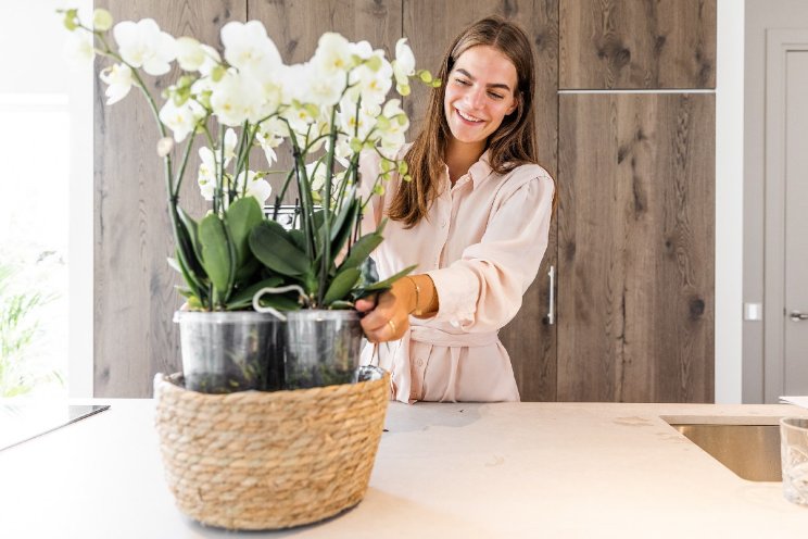 Kolibri breidt uit Kolibri breidt uit